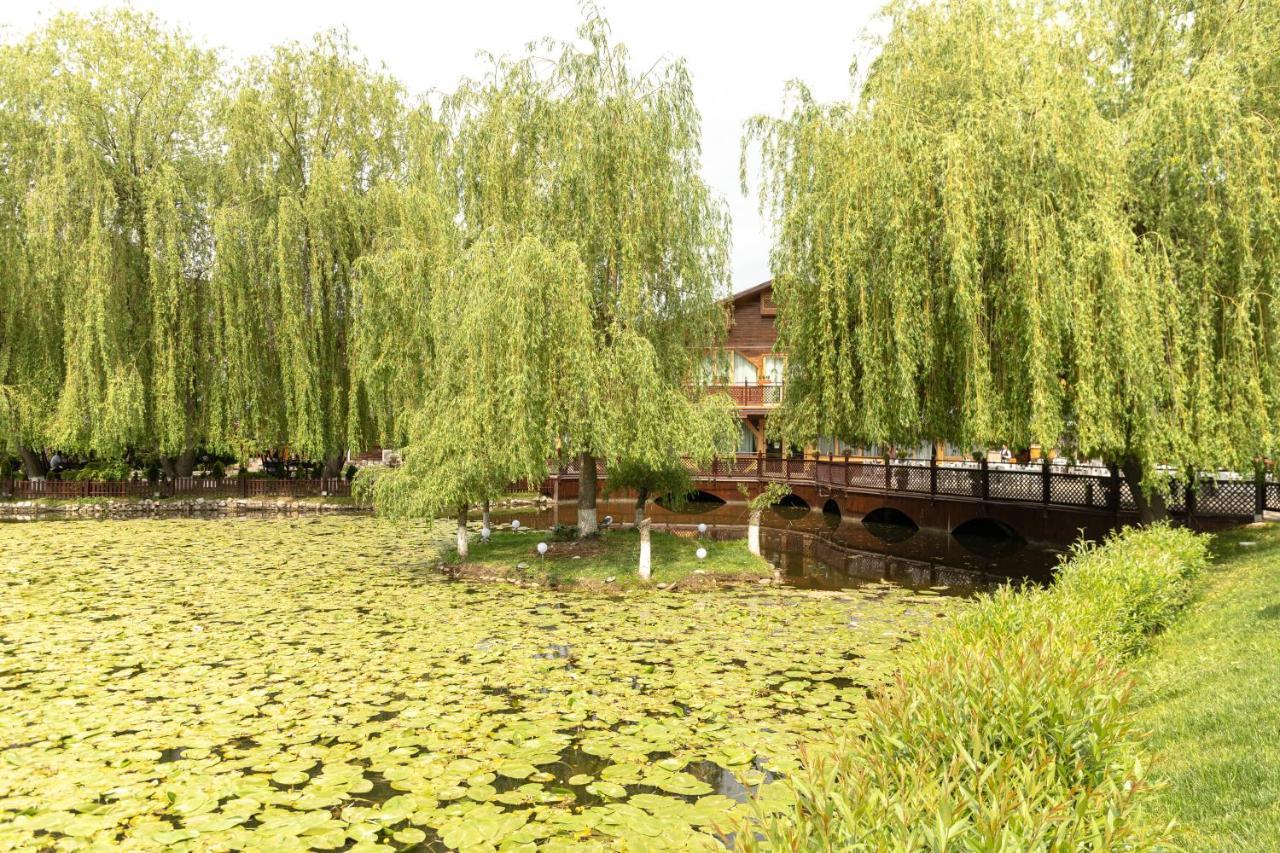 Complex Turistic Darina Sancraiu De Mures Luaran gambar